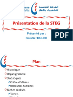 Modele Powerpoint Steg