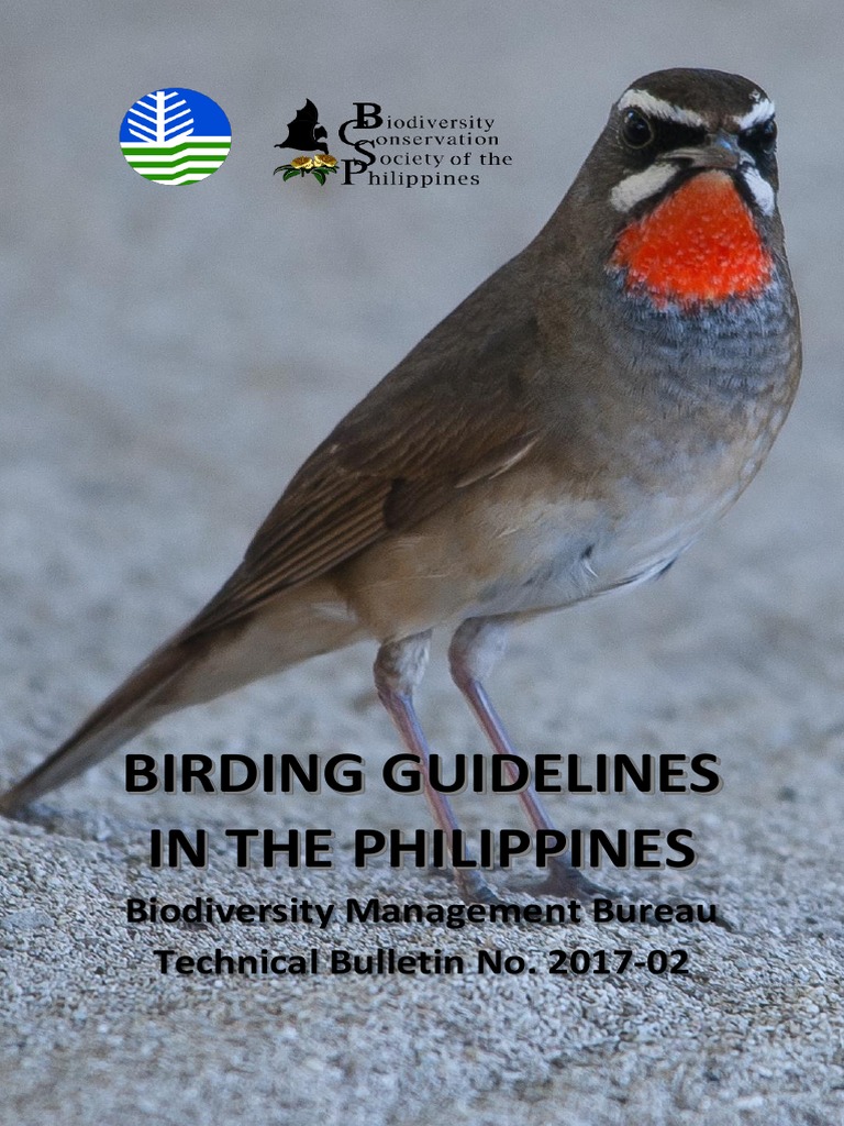 Birding Guidelines in The Philippines DENR Feb 2018 PDF Birdwatching Birds