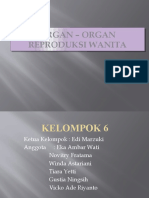 Organ Organ Reproduksi Wanita