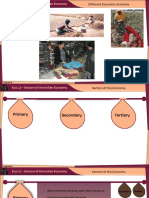 Sectors of The Indian Economy