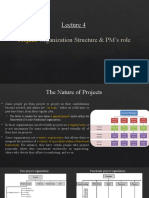 Project: Organization Structure & PM's Role