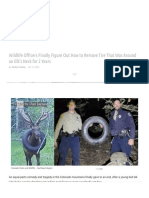 Wildlife Officers Finally Figure Out How to Remove Tire That Was Around an Elk's Neck for 2 Years