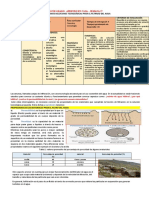 Tercer Grado Sem 27 CT