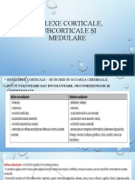 Reflexe Corticale, Subcorticale Și Medulare 7