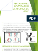 RECOMBINAREA GENETICĂ PRIN SCHIMBUL RECIPROC DE GENE