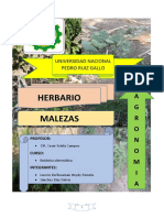 Doc1PORTADA DE MALEZA  pamela