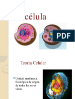 La Celula Exposicion