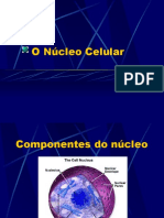 O DNA e as células do corpo humano