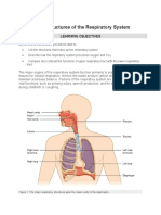 Anatony Lung Parts