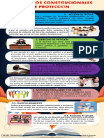 INFOGRAFIA MECANISMOS CONSTITUCIONALES DE PROTECCION Brenda Jaimes