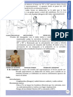 Prueba Del Brazo Caído