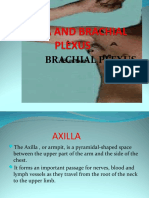 Axilla and Brachial Plexus