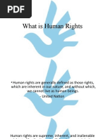 Human Rights in PNG Constitution | PDF | Papua New Guinea | Citizenship