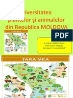Biodiversitatea Republicii Moldova Clas9