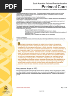 Perineal Care: South Australian Perinatal Practice Guideline