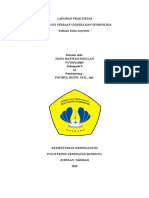 Laporan Praktikum Acyclovir PDF Free