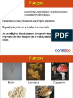 Introdução A Fungos