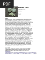 Download Bawang Putih alium sativum by Nurul Shavira Devi Effendi SN53316046 doc pdf