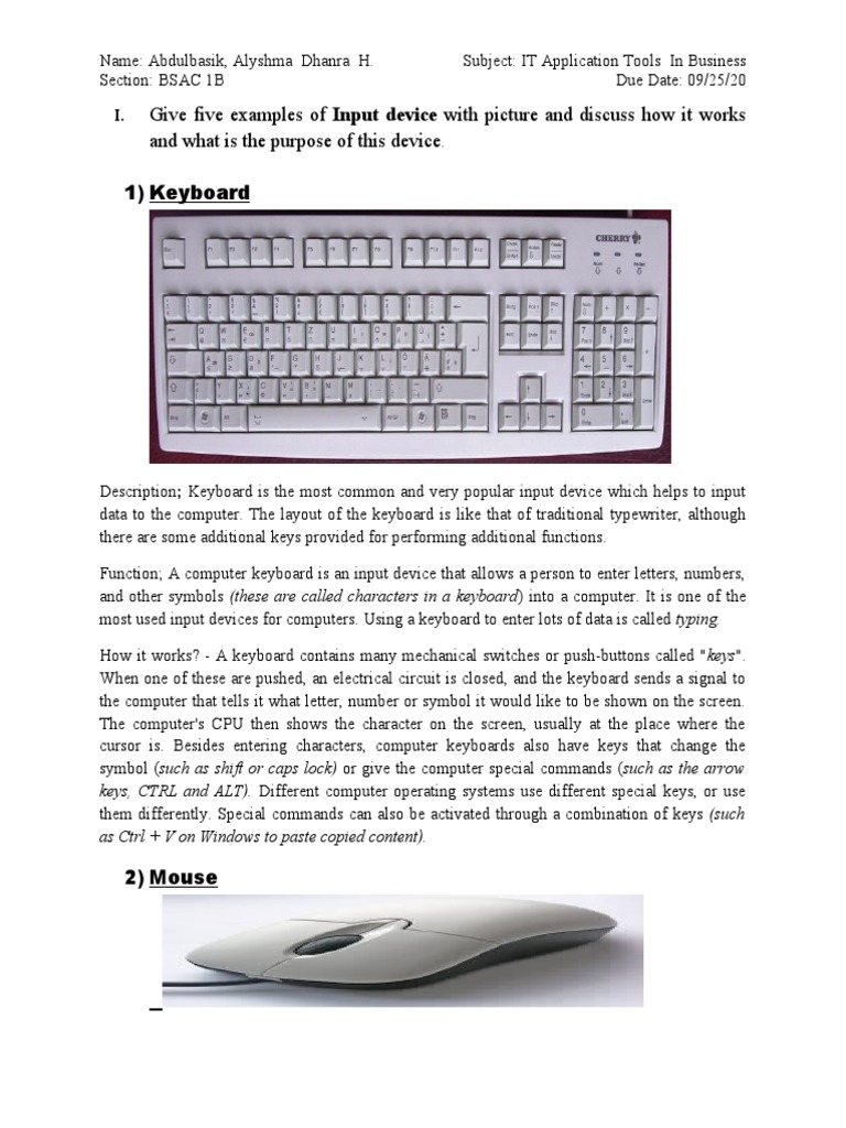 Give Five Examples of Input Device With Picture and Discuss How It ...