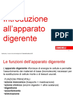 APPARATO DIGERENTE - prima parte