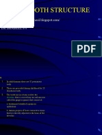 Adult Tooth Structure: DR Shabeel PN