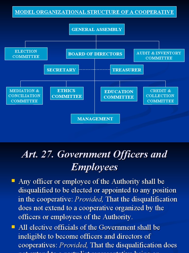 Organizational Structure RA 9520 PDF Government Justice