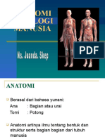 Anatomi Fisiologi