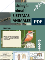 Sistemas Animales