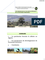 Perspectives_de_promotion_et_de_developpement_de_l_economie_forestiere