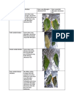 Tabel Praktikum Bio Aluminium Foil - Arbi