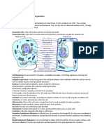 Biology Chapter 2 Cell Structure and Organization