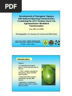 Download Development of transgenic papaya with delayed ripening characteristics containing the ACC oxidase gene via Agrobacterium-mediated transformation by UPLB Office of the Vice Chancellor for Research and Extension SN53321889 doc pdf