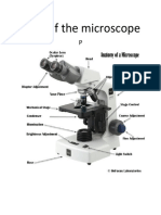 Parts of The Microscope