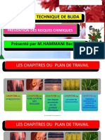 1 - Presentation Diapos Risques Chimiques Etb Hammmani