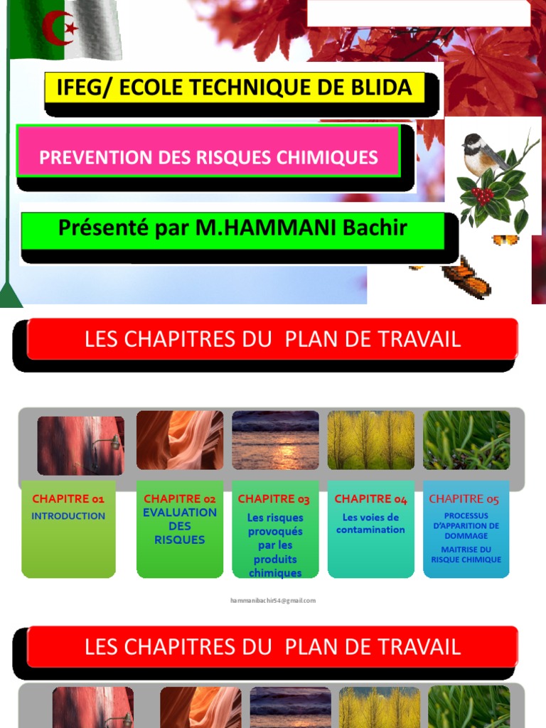 Risques et sécurité des produits chimiques | PDF | Risque | Prophylaxie