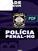 Vade Mecum Policial Penal MG