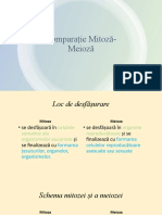Comparatie Mitoza-Meioza