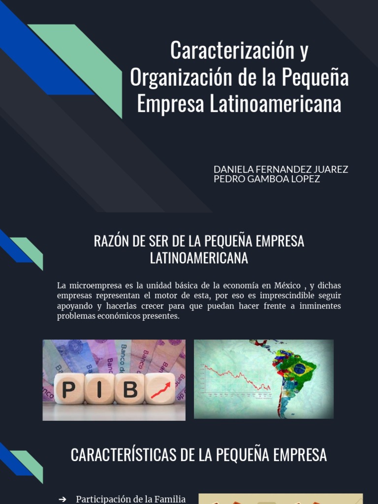 Caracterización de Pequeñas Empresas en LATAM | PDF | Pequeñas y ...