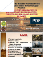 Exploration of the microbial diversity of caves in the Philippines and its biotechnological potential: Bacterial biofilm formation in Mapanghe and Bulalon Caves in Burdeos, Polillo Island, Quezon Province