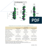 Tipos de ADN
