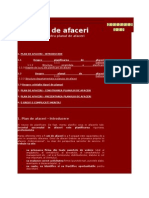 Dizertatie - Plan de Afaceri