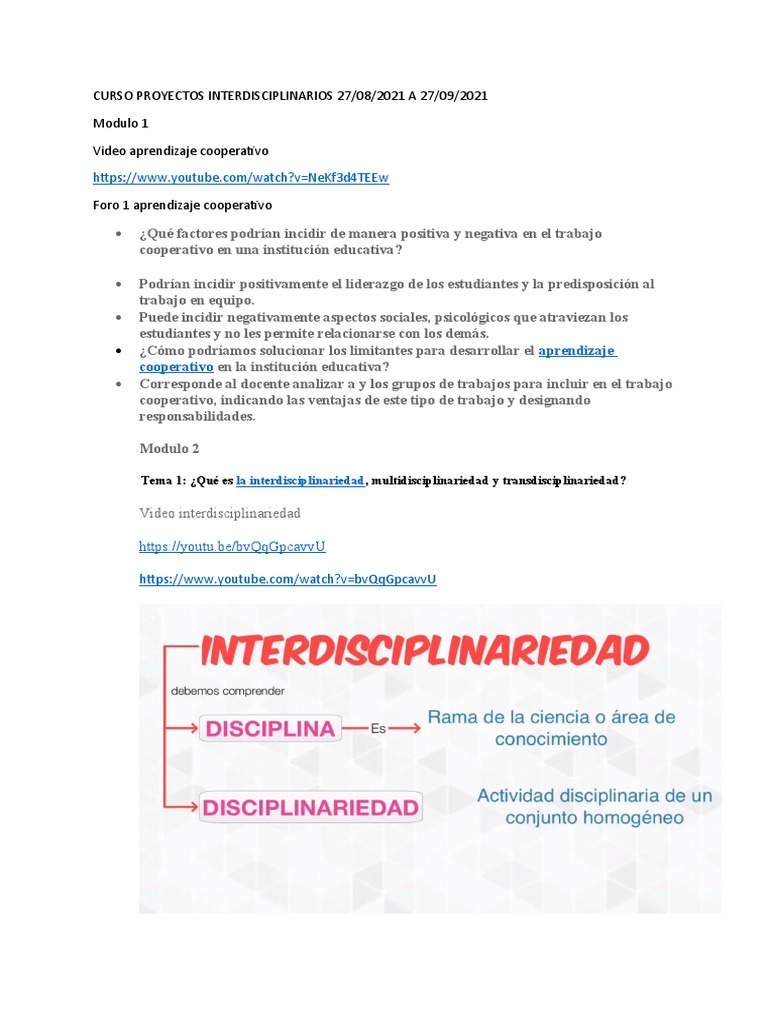 Proyectos Interdisciplinarios en Educación | PDF ...