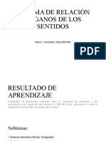 Sistema de Relación Organos de Los Sentidos