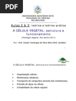 Aula 2 & 3 - A celula vegetal (1 e 9-Abril-2011)!