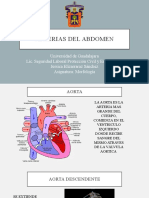 Arterias Del Abdomen