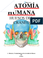 Folleto de Huesos Del Craneo Por Carlos Andres Garcia 1 Downloable