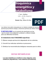 Introducción Al Metabolismo