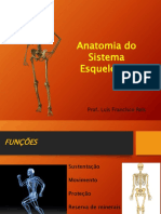 2021313_101058_A - 2 Anatomia Do Sistema Esquelético