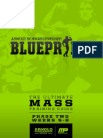 Arnoldblueprint Mass Phasetwo-V1.1