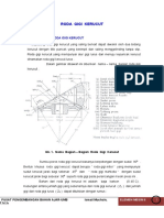 Bevel Gear